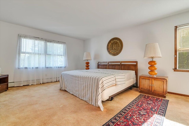 1163 Bush Rd, Cresco, PA 18326 - bedroom featuring light colored carpet