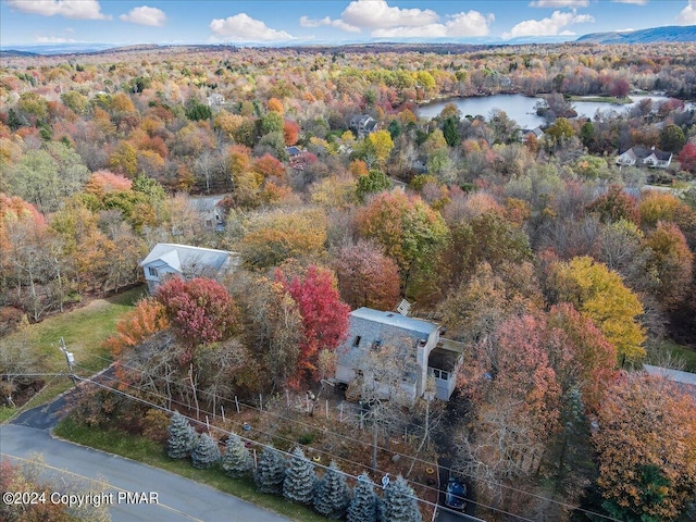 aerial view with a water view and a view of trees