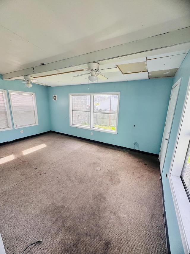 unfurnished room with baseboards, carpet, a ceiling fan, and a wealth of natural light