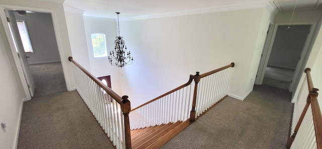 259 Great Bear Way E, Stroudsburg, PA 18302 - stairway with attic access, carpet flooring, ornamental molding, and a chandelier
