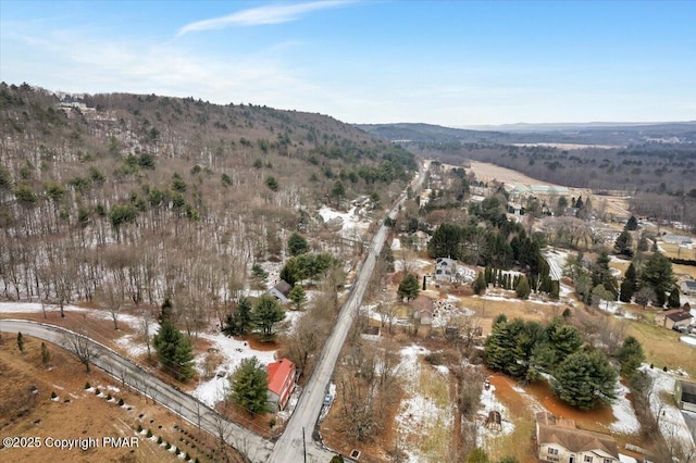 birds eye view of property with a mountain view