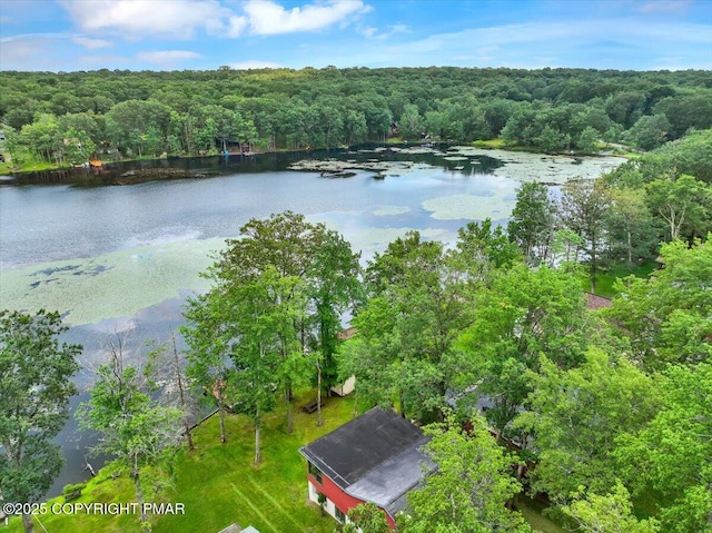 462 Indian Lake Trl, White Haven, PA 18661 - photo 7