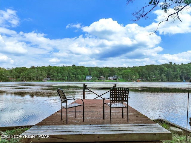 462 Indian Lake Trl, White Haven, PA 18661 - photo 33
