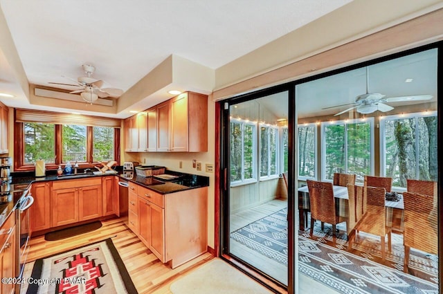 kitchen featuring a ceiling fan, a tray ceiling, a sink, light wood-style floors, and appliances with stainless steel finishes