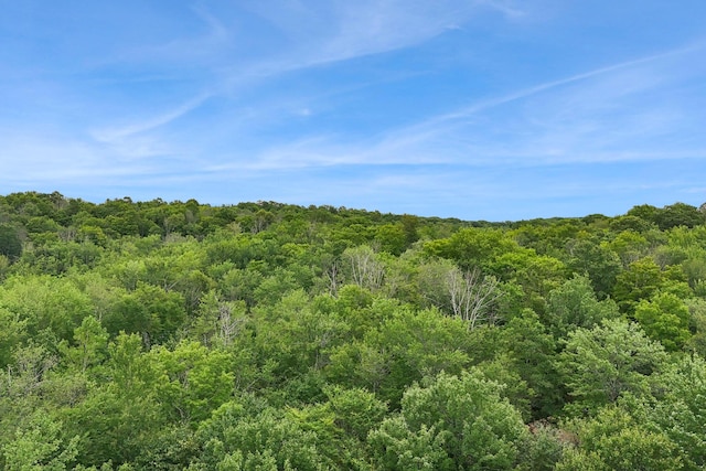 38 N Fairway Dr, Lake Ariel, PA 18436 - view of tree filled area