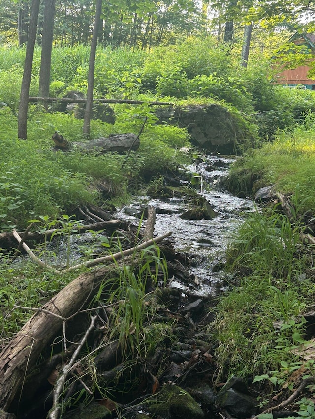 38 N Fairway Dr, Lake Ariel, PA 18436 - view of nature