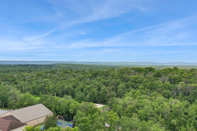 38 N Fairway Dr, Lake Ariel, PA 18436 - drone / aerial view of a heavily wooded area