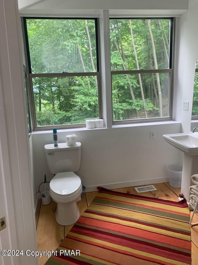 bathroom featuring a sink, wood finished floors, toilet, and baseboards