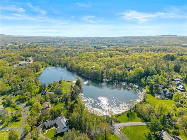 view of property location featuring a forest and a nearby body of water