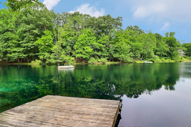 155 Kimberleigh Ct, East Stroudsburg, PA 18301 - view of property location featuring a heavily wooded area and a nearby body of water