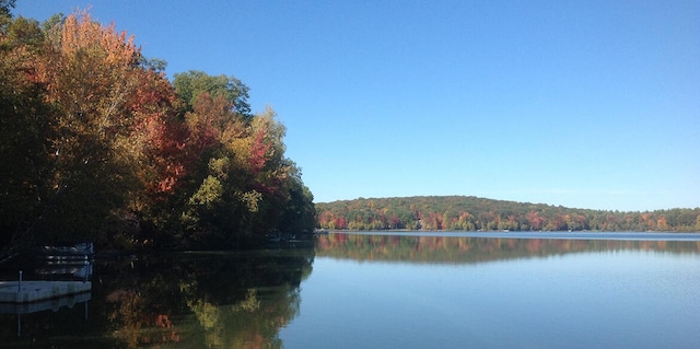 water view with a forest view