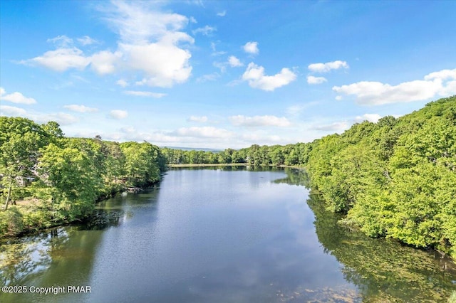 property view of water featuring a wooded view