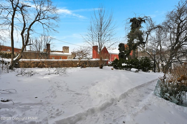 view of yard covered in snow