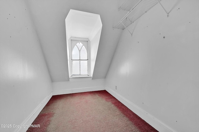 walk in closet with lofted ceiling and carpet floors