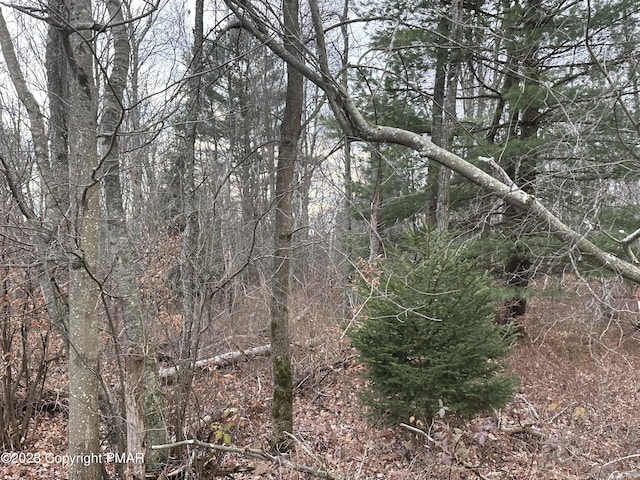195 Cranberry Dr, Blakeslee, PA 18610 - photo 2