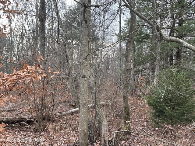 195 Cranberry Dr, Blakeslee, PA 18610 - photo 4