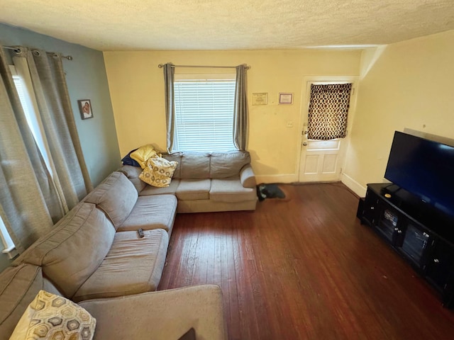 375 N Courtland St, East Stroudsburg, PA 18301 - living room featuring wood-type flooring, a textured ceiling, and baseboards