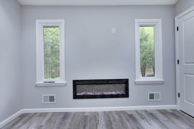 1005 Country Place Dr, Coolbaugh Township, PA 18466 - detailed view of a glass covered fireplace, wood finished floors, and baseboards