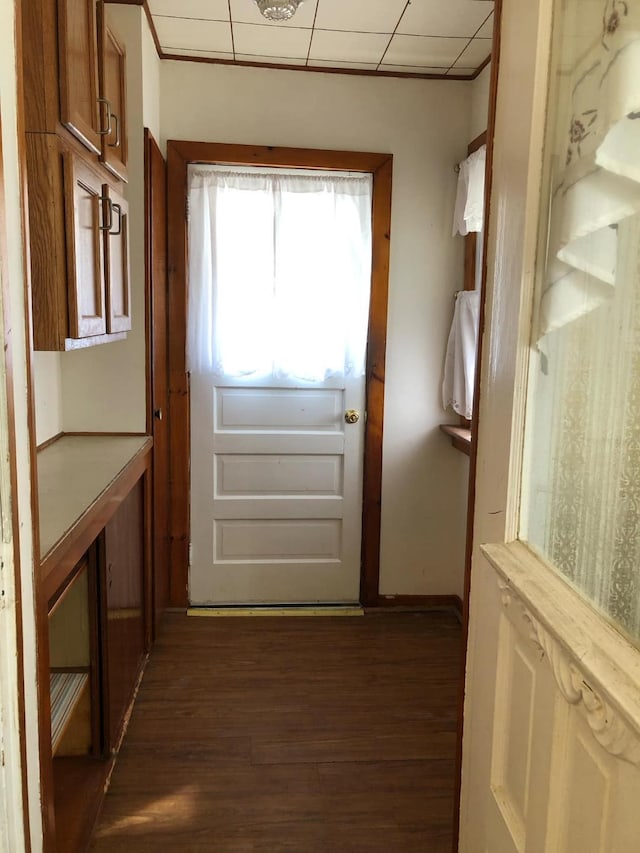 doorway to outside with dark wood-type flooring and a drop ceiling