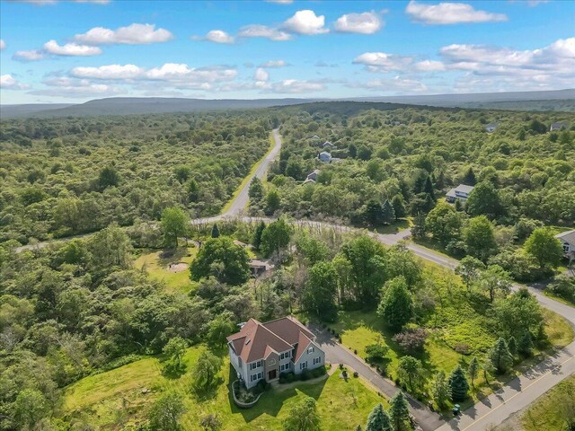 6 Reed Ct, Albrightsville, PA 18210 - photo 68
