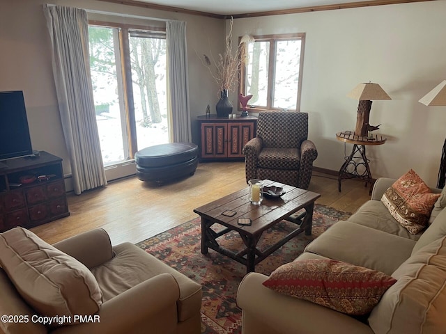 living room featuring light hardwood / wood-style flooring