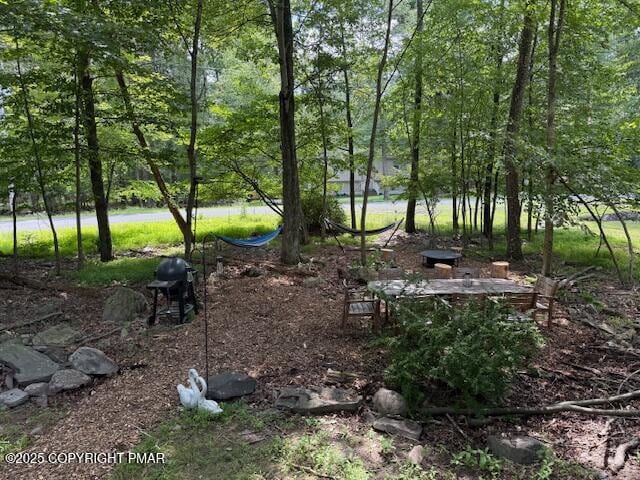 1228 Woodland Dr, East Stroudsburg, PA 18301 - photo 38