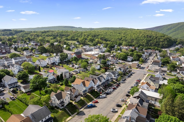 aerial perspective of suburban area featuring a forest