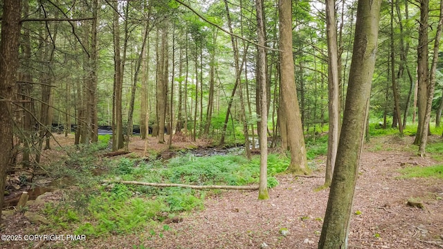 Laurel Rd, Lehighton, PA 18235 - photo 2