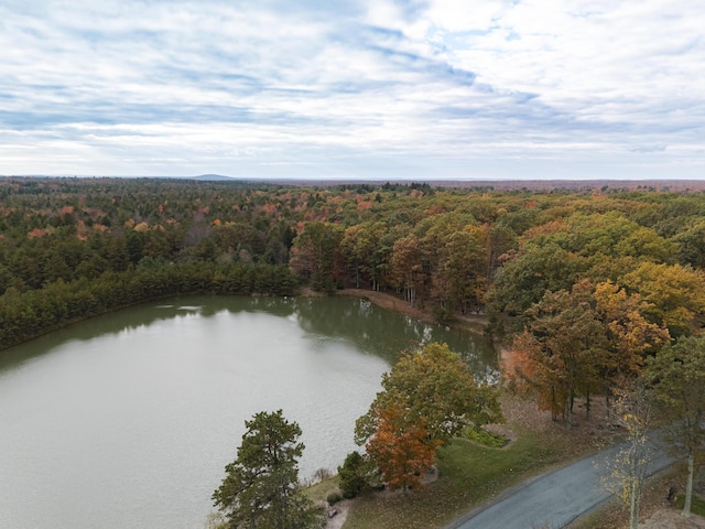 355 Windy Bush Rd, Pocono Pines, PA 18350 - aerial overview of property's location with a heavily wooded area and a nearby body of water