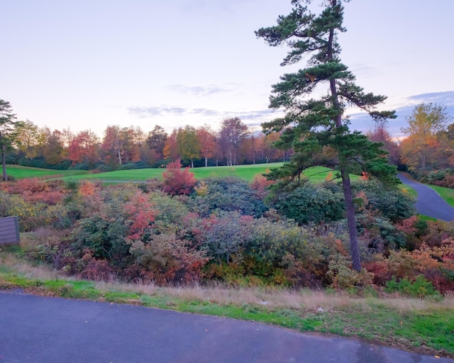 355 Windy Bush Rd, Pocono Pines, PA 18350 - view of yard