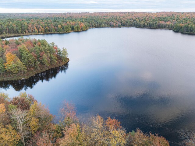 355 Windy Bush Rd, Pocono Pines, PA 18350 - water view featuring a heavily wooded area