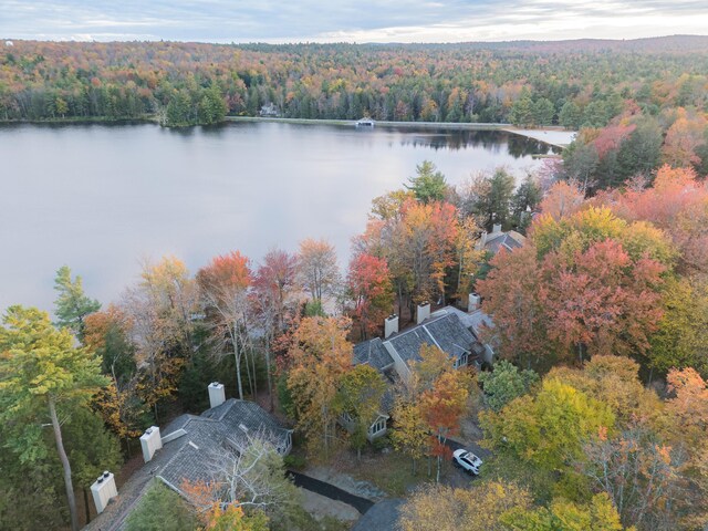 355 Windy Bush Rd, Pocono Pines, PA 18350 - aerial view of a forest and a large body of water