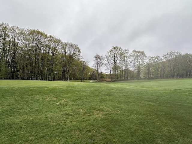 355 Windy Bush Rd, Pocono Pines, PA 18350 - view of community featuring a yard