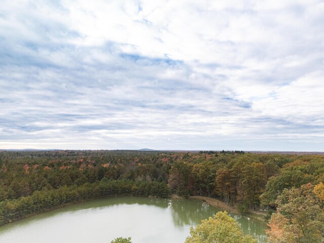 355 Windy Bush Rd, Pocono Pines, PA 18350 - view of property location featuring a heavily wooded area and a large body of water