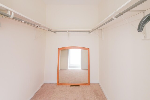 355 Windy Bush Rd, Pocono Pines, PA 18350 - walk in closet with arched walkways and light colored carpet