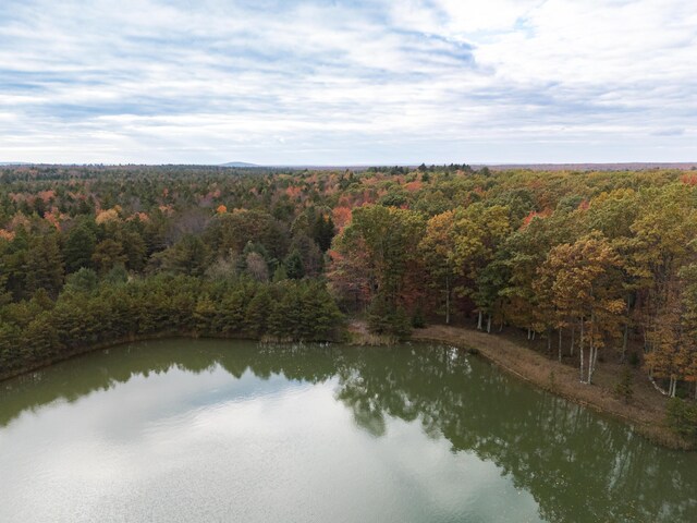 355 Windy Bush Rd, Pocono Pines, PA 18350 - bird's eye view of a forest and a large body of water