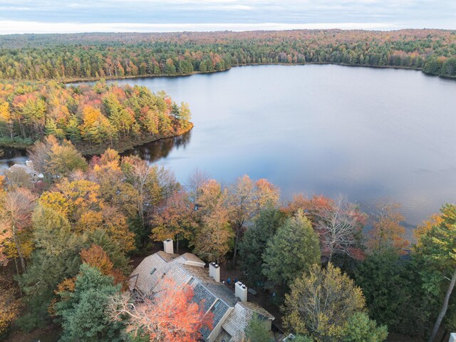 355 Windy Bush Rd, Pocono Pines, PA 18350 - drone / aerial view of a forest and a large body of water