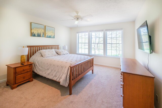 355 Windy Bush Rd, Pocono Pines, PA 18350 - bedroom featuring multiple windows, light carpet, and baseboards