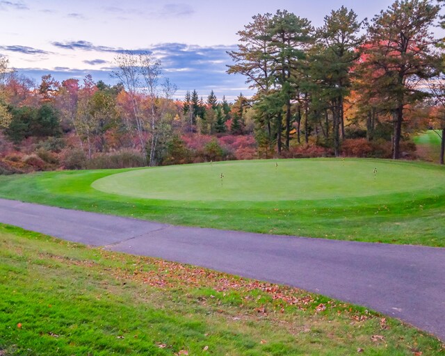 355 Windy Bush Rd, Pocono Pines, PA 18350 - view of property's community with a putting area and golf course view