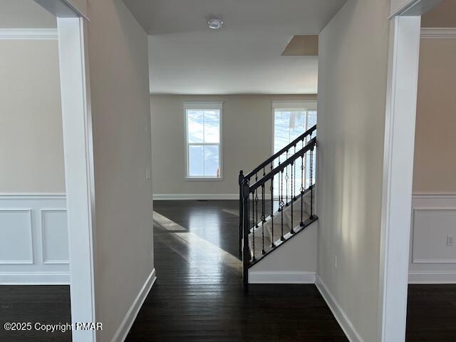 hallway featuring dark wood-type flooring and ornamental molding