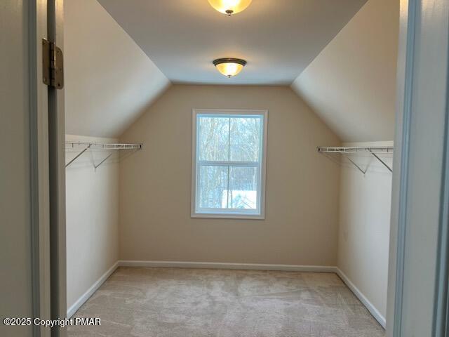 walk in closet with lofted ceiling and light colored carpet