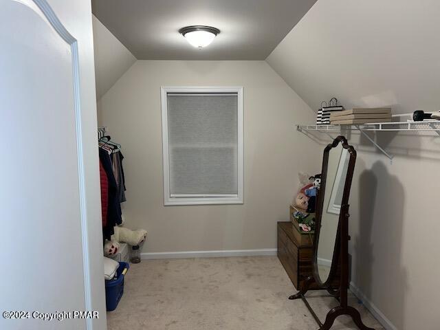 spacious closet featuring vaulted ceiling and light carpet