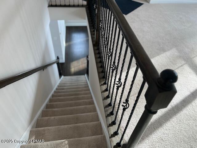 staircase featuring carpet floors