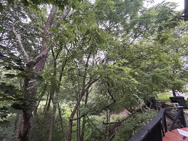 22 Quay Ave, Mount Pocono, PA 18344 - view of local wilderness