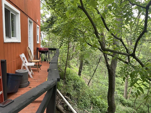 22 Quay Ave, Mount Pocono, PA 18344 - wooden deck with area for grilling