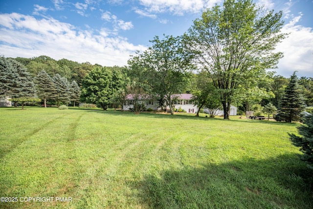 202 Chestnut Dr S, Saylorsburg, PA 18353 - photo 12