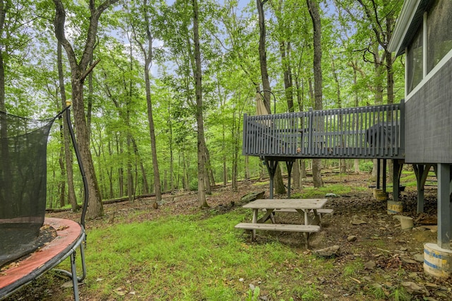 2162 Glasgow Dr, Bushkill, PA 18324 - view of yard with a wooden deck and a trampoline