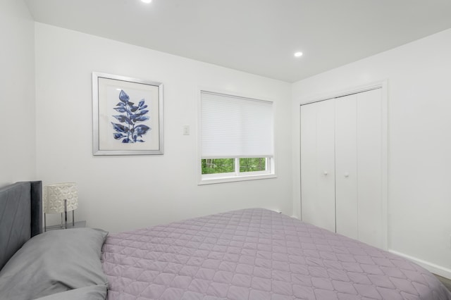 2162 Glasgow Dr, Bushkill, PA 18324 - bedroom with recessed lighting and a closet