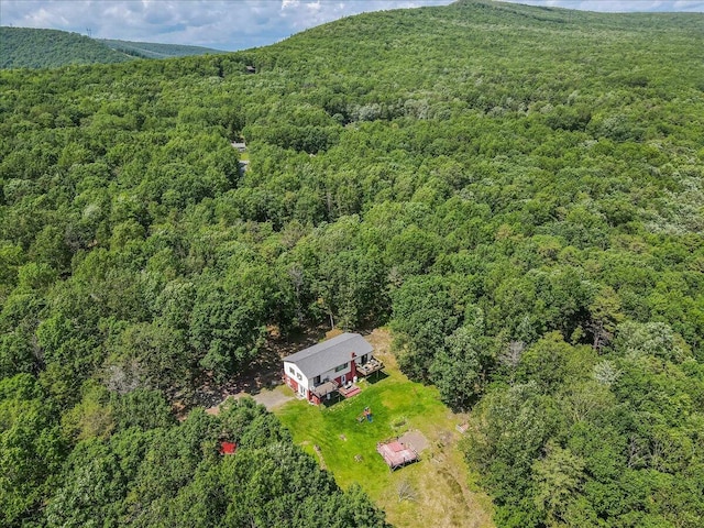 446 Dew Drop Dr, Jim Thorpe, PA 18229 - aerial view of property and surrounding area with a forest
