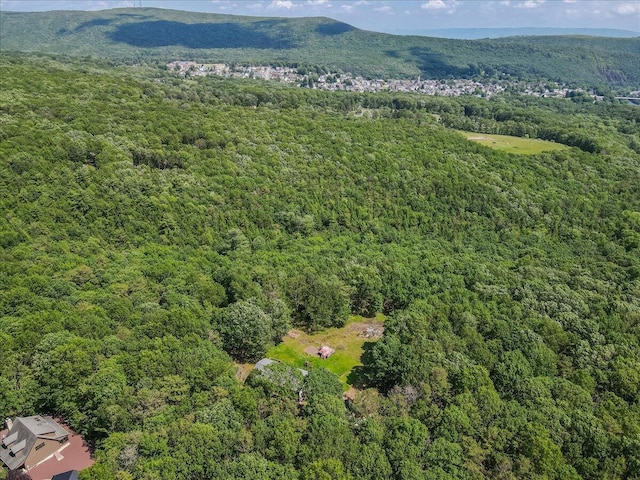 446 Dew Drop Dr, Jim Thorpe, PA 18229 - drone / aerial view of a forest and mountains